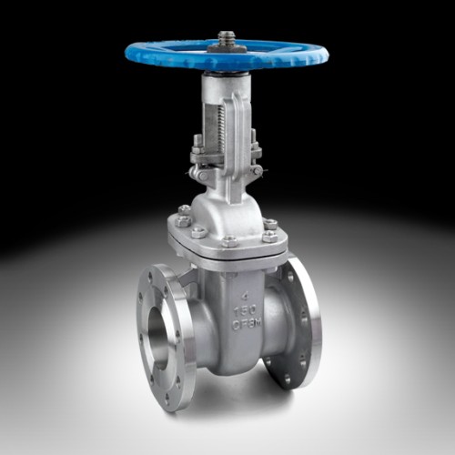 Ansi gate valve